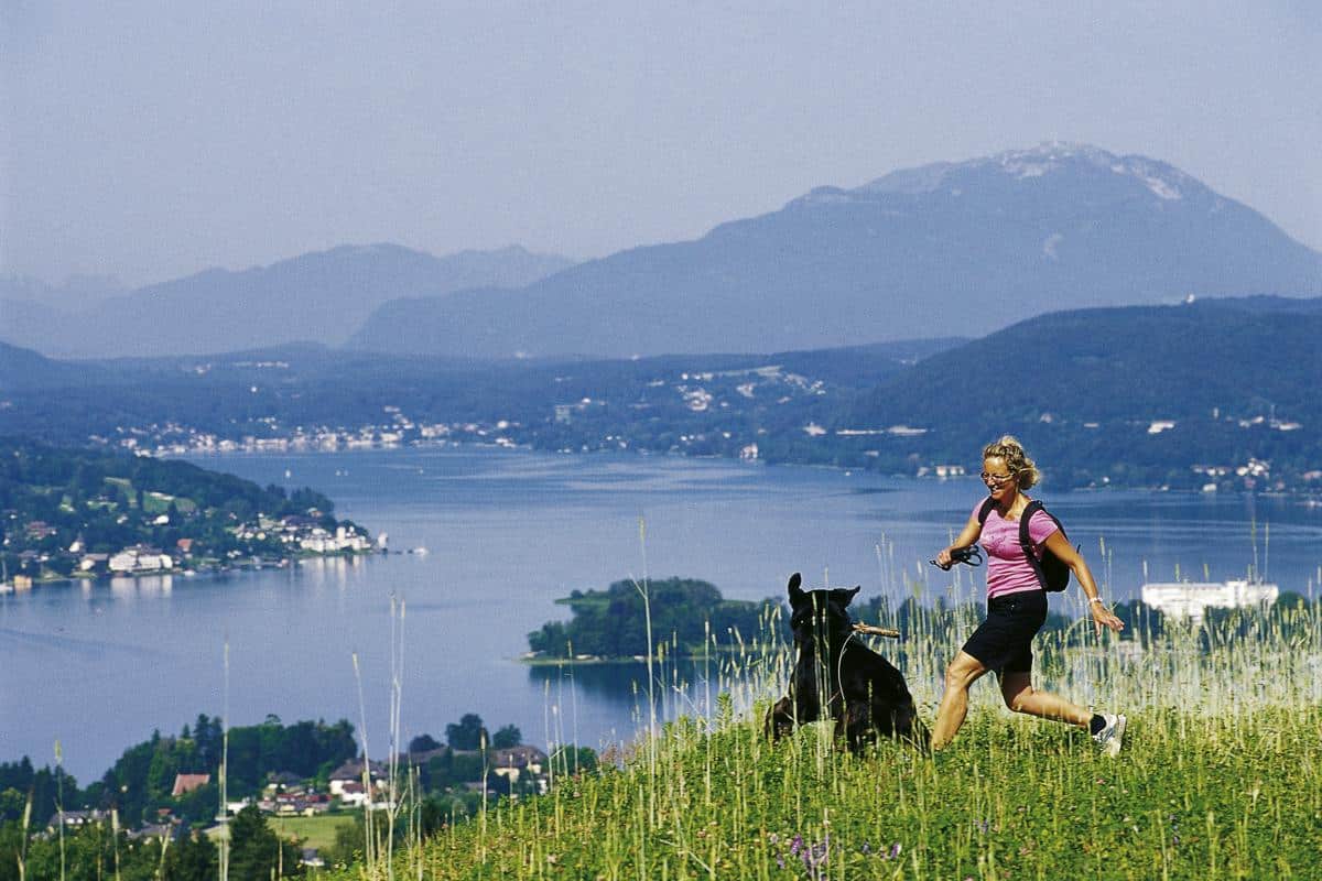 Hunde im Hotel Hotel Schönblick Schneider in Velden